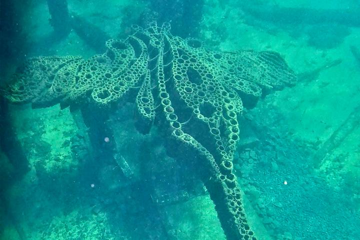 Busselton Jetty diving Mantaray sculpture