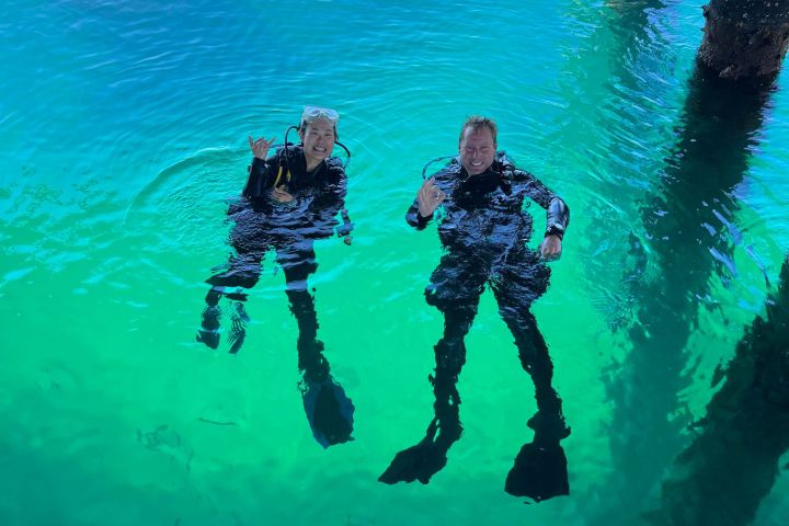Scuba diving at the busselton jetty