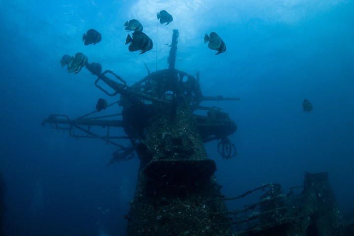 Advanced dive course