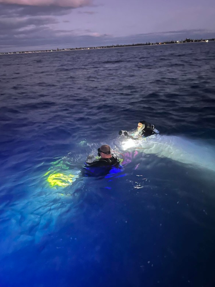 a person riding a wave on a surfboard in the water
