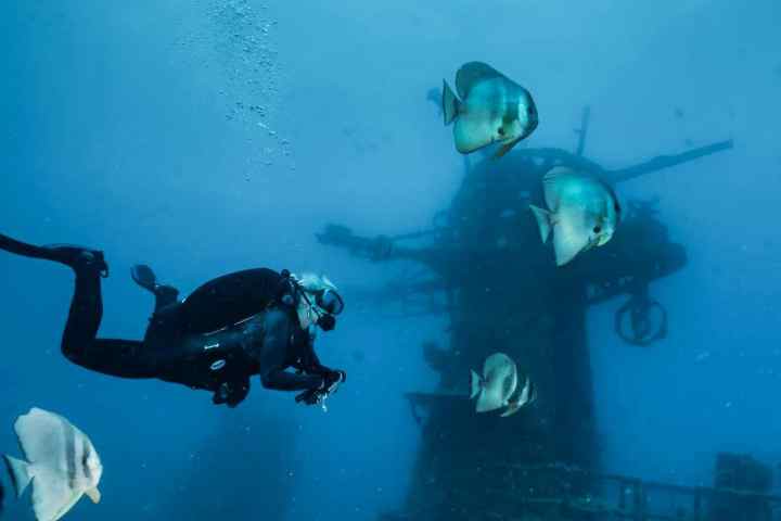 Diver explores underwater wreck with fish swimming nearby.
