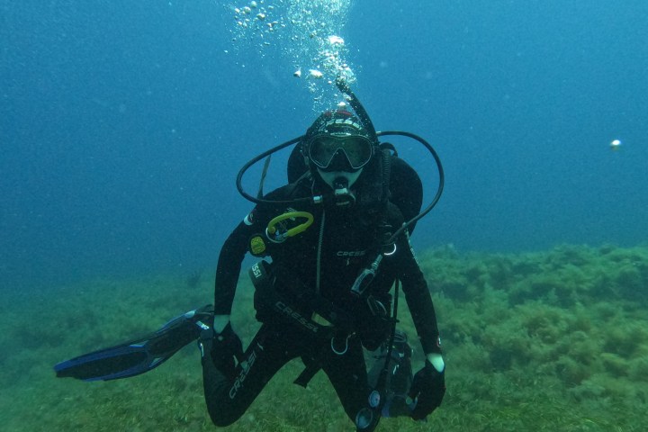Scuba diver underwater with green seaweed and blue background.