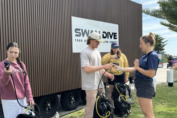 Group with scuba gear outside a building on a sunny day.