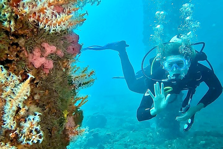 Scuba diver underwater near coral-covered pillar, signaling OK.
