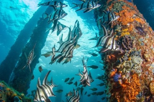 underwater view of a swimming pool
