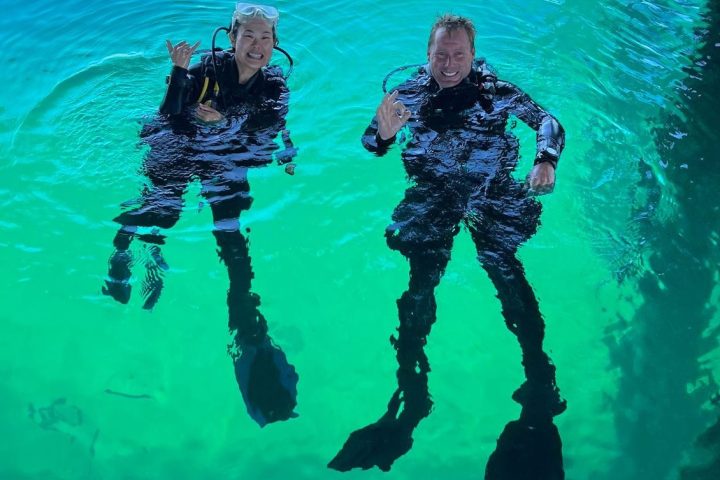 a group of people swimming in a body of water