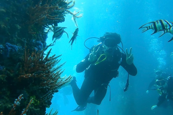 Scuba diver underwater near coral and striped fish, making a hand sign.