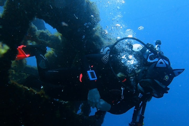 Scuba diver exploring underwater wreck with bubbles rising.