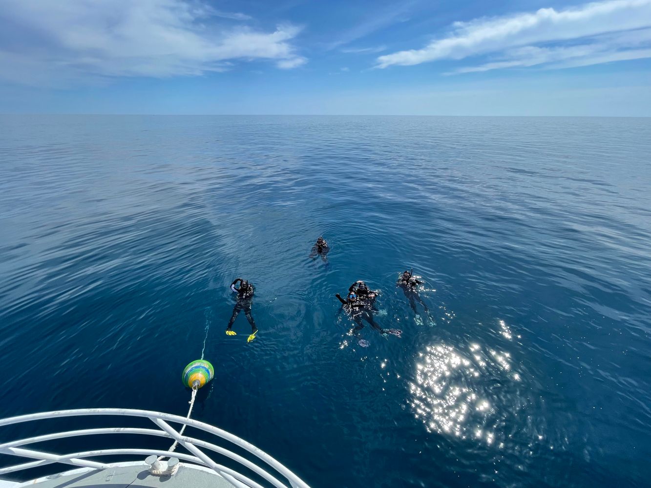 a group of people swimming in a body of water