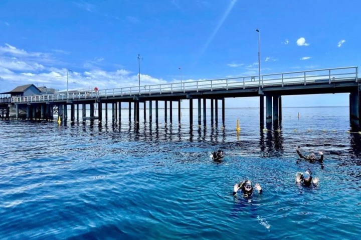 Scuba divers in blue ocean near a long pier on a sunny day.