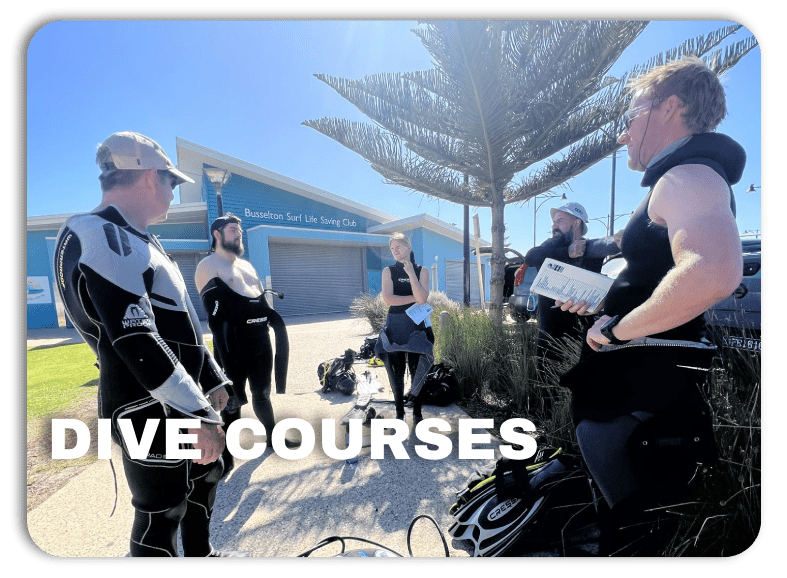 dive courses