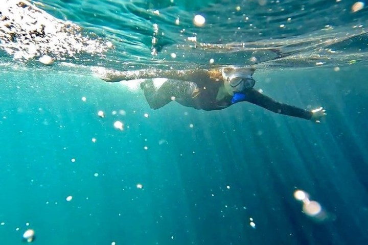 a person swimming in water