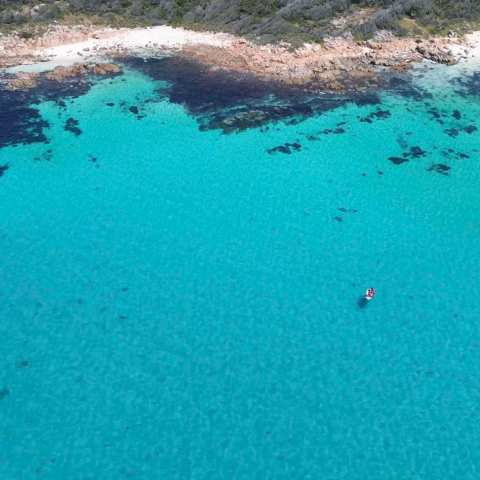 a group of people on a beach near a body of water