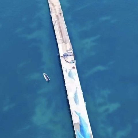 a boat on a body of water