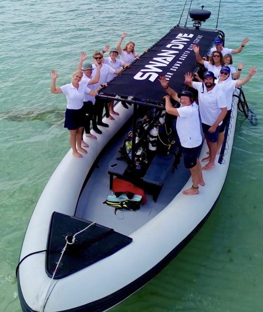 Swan Dive staff photo