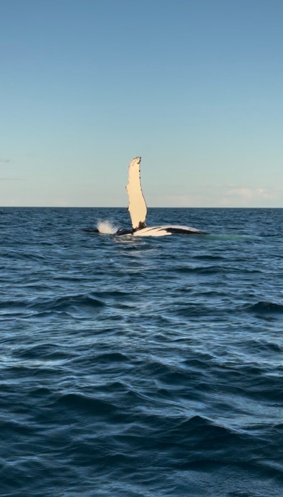 a large body of water