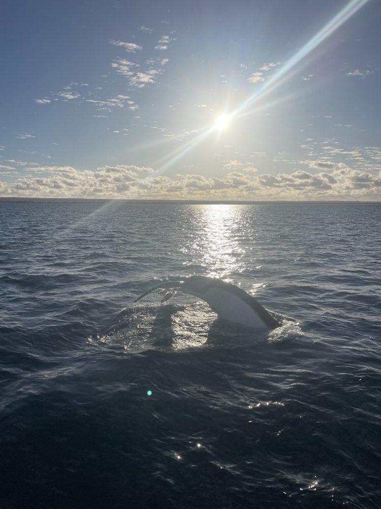 a body of water
