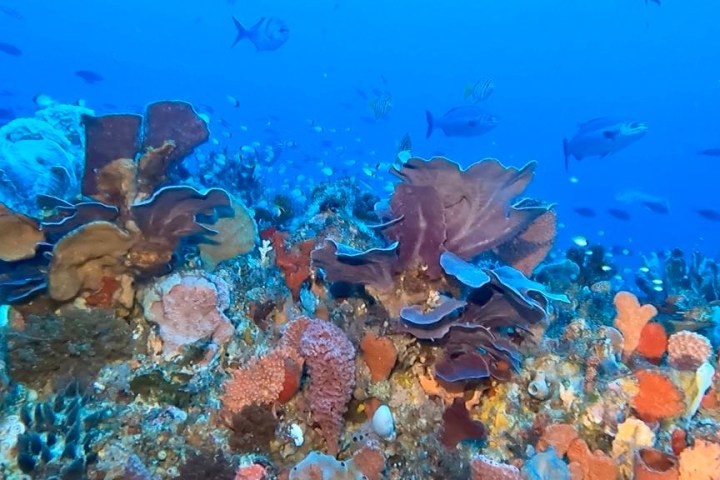 underwater view of a swimming pool