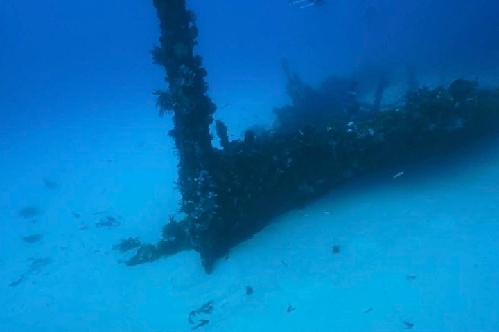 Underwater view of a shipwreck partly covered in marine growth on a sandy seabed.