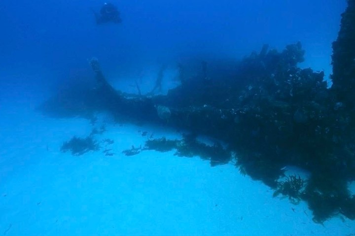 Diver exploring large underwater shipwreck on sandy ocean floor.