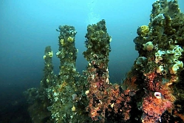 Underwater scene with coral-encrusted pillars and diverse marine life against a blue ocean backdrop.