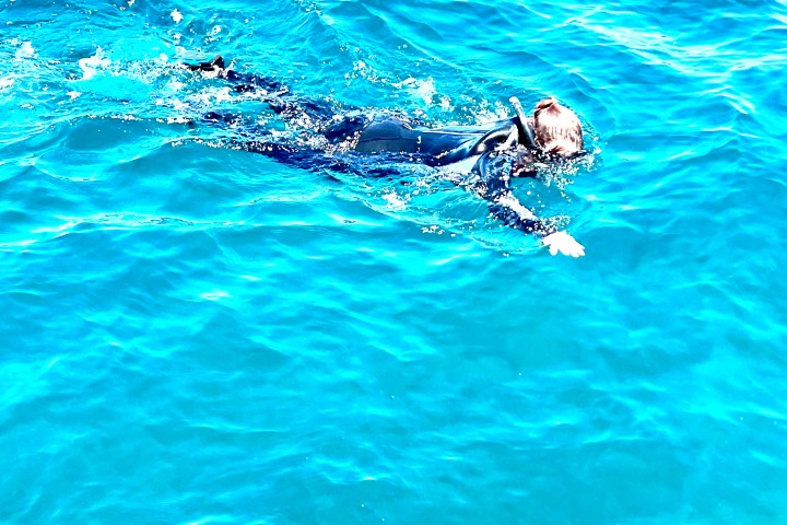 Person snorkeling in clear blue water wearing a wetsuit and mask.